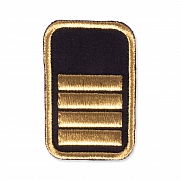 WW-Dienststellungsabz., gold, Kreisebene