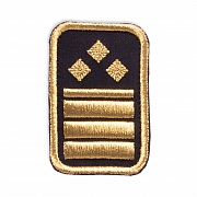 WW-Dienststellungsabz., gold, Bundeseb.