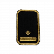 WW-Dienststellungsabz., gold, Bezirkseb.