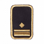 WW-Dienststellungsabz., gold, Bezirkseb.