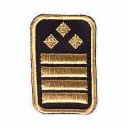 WW-Dienststellungsabz., gold, Bundeseb.