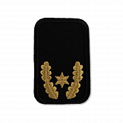 DRK-Dienststellungsabz., 1 ST + EL gold