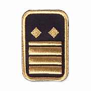 WW-Dienststellungsabz., gold, Landeseb.