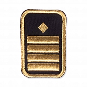 WW-Dienststellungsabz., gold, Bezirkseb.