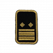 WW-Dienststellungsabz., gold, Landeseb.