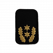 DRK-Dienststellungsabz., 2 ST + EL gold