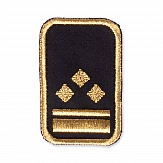 WW-Dienststellungsabz., gold, Bundeseb.