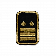 WW-Dienststellungsabz., gold, Landeseb.