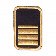 WW-Dienststellungsabz., gold, Kreisebene