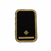 WW-Dienststellungsabz., gold, Bezirkseb.