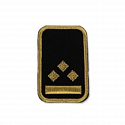 WW-Dienststellungsabz., gold, Bundeseb.