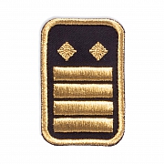 WW-Dienststellungsabz., gold, Landeseb.