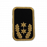 DRK-Dienststellungsabz., 2 ST+EL+PA gold