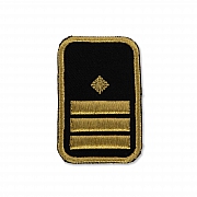 WW-Dienststellungsabz., gold, Bezirkseb.