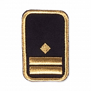 WW-Dienststellungsabz., gold, Bezirkseb.