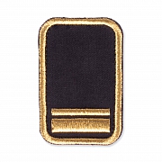 WW-Dienststellungsabz., gold, Kreisebene