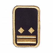 WW-Dienststellungsabz., gold, Landeseb.