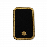 DRK-Dienststellungsabz., 1 ST + PA gold