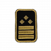 WW-Dienststellungsabz., gold, Bundeseb.