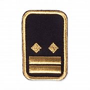 WW-Dienststellungsabz., gold, Landeseb.