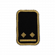 WW-Dienststellungsabz., gold, Landeseb.